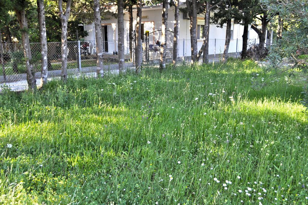 Vila Branka Čanj Buitenkant foto